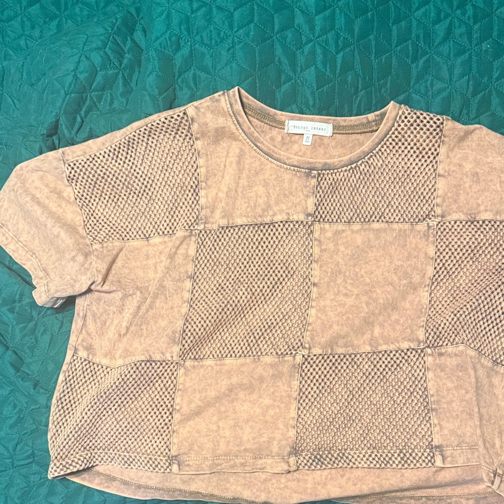 Gilded Intent Blush Crop Top